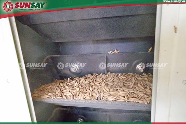 Máy sấy tháp sấy nông sản