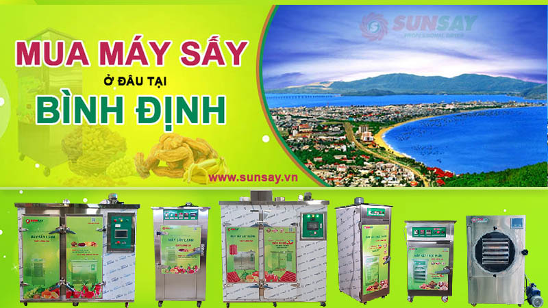 Máy sấy lạnh tại Bình Định