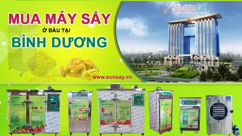 Máy sấy thực phẩm sấy trái cây hoa quả đang bán tại Bình Dương