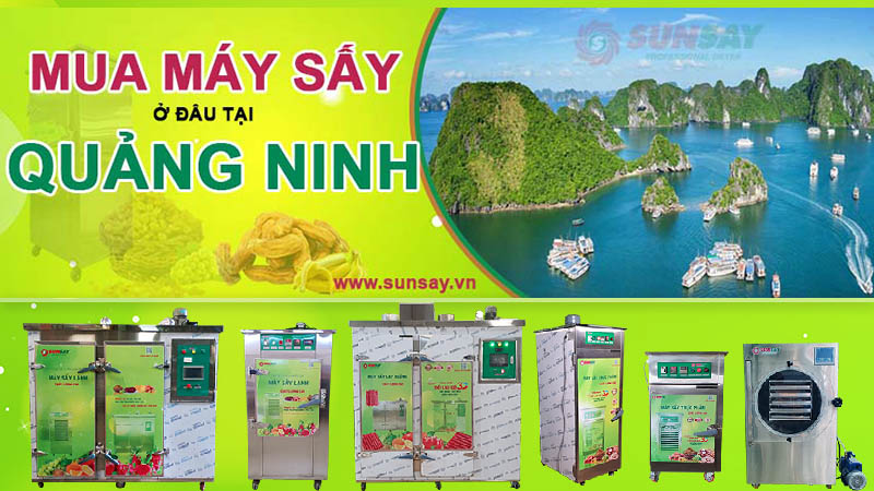 Nơi bán máy sấy thực phẩm ở Quảng Ninh