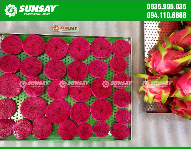 Thanh long được cắt lát và xếp vào khay sấy máy sấy lạnh