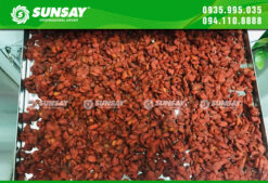 Máy sấy trái cây