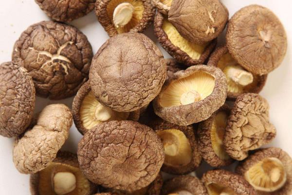 Nấm đông cô sấy lạnh