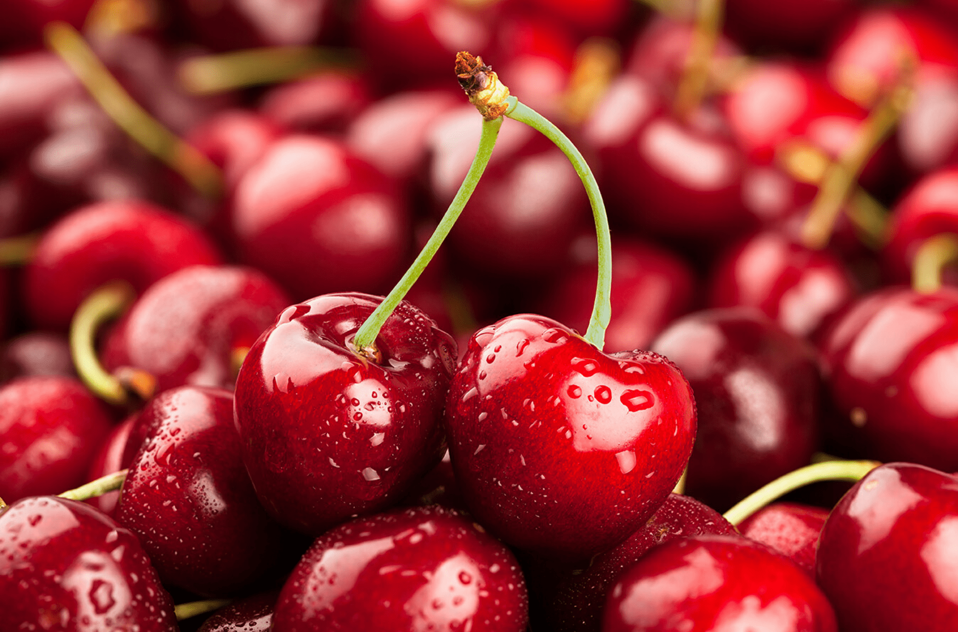 Cherry có nhiều lợi ích đối với sức khoẻ