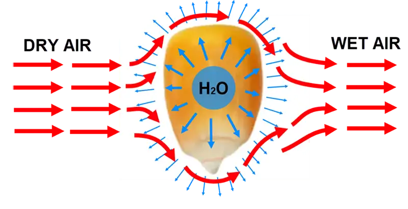 Quá trình sấy hạt trong máy sấy tháp