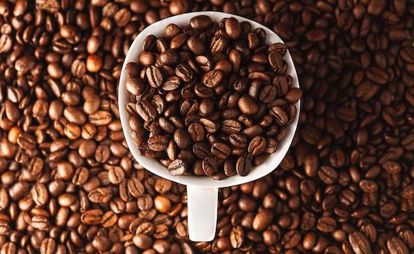 Đem đến những hạt cà phê sấy đẹp mắt và chất lượng tốt