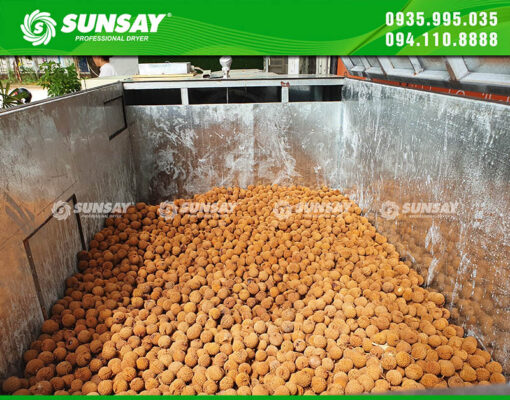 Máy sấy vải thiều công nghệ sấy vĩ ngang đảo chiều gió