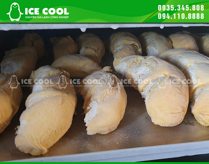 Cấp đông sầu riêng