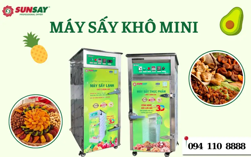 Máy sấy thực phẩm mini 