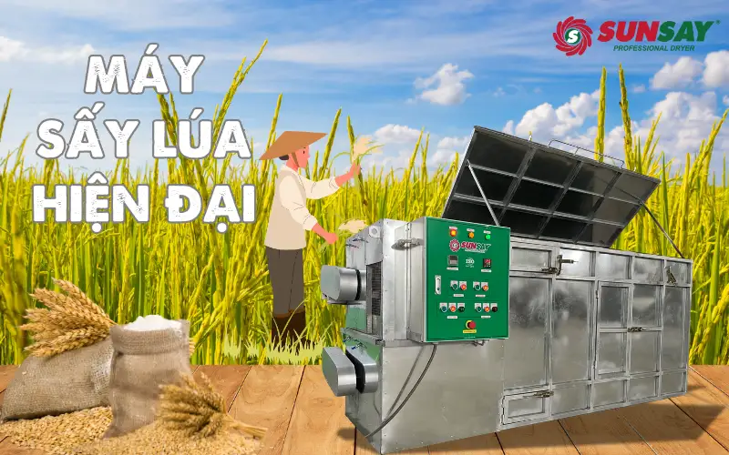Máy sấy lúa hiện đại - Giải pháp tối ưu cho mùa thu hoạch