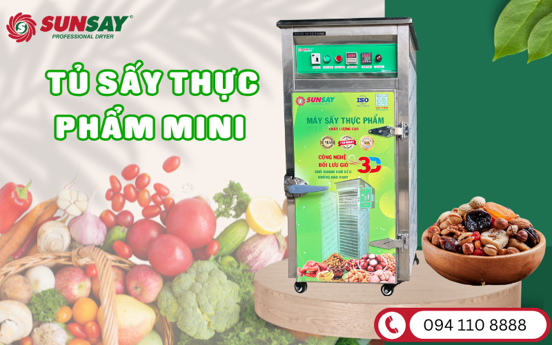 Tủ sấy thực phẩm mini – Sự lựa chọn hoàn hảo cho các hộ kinh doanh nhỏ lẻ