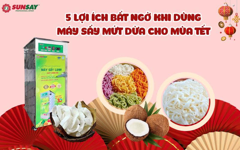 Máy sấy mứt dừa cho mùa Tết
