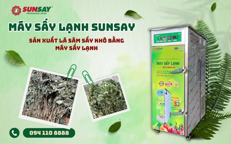Lá sâm sấy khô