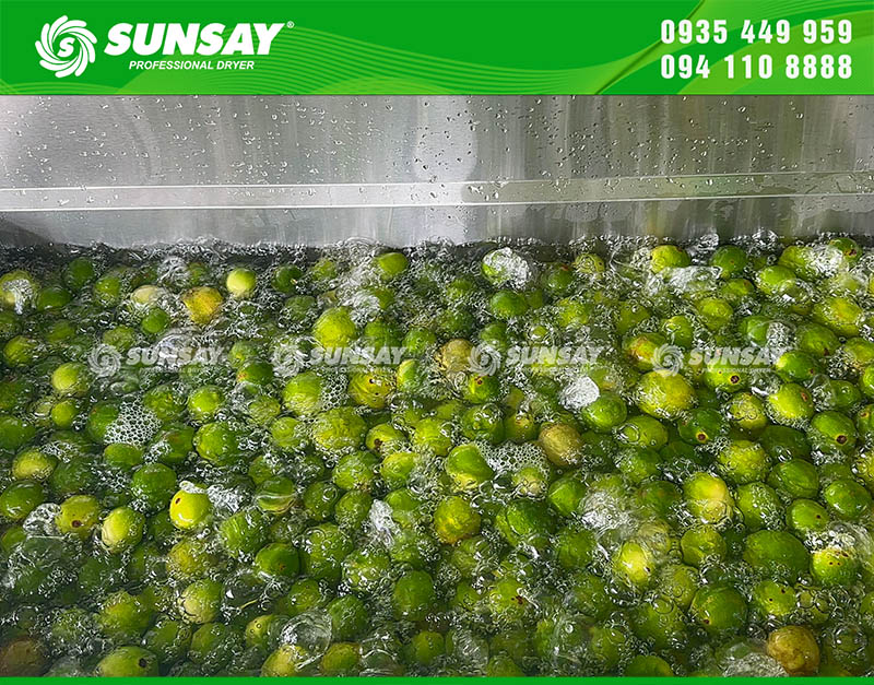 Chanh được rửa kĩ trước khi được đem đi chế biến và sấy