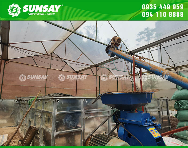 Vít tải chuyển cà phê vào buồng sấy và máy xát vỏ cà phê