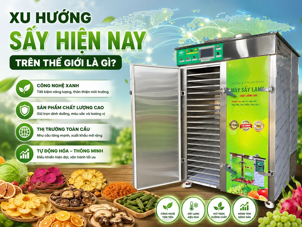 Xu hướng sấy hiện nay trên thế giới là gì đang là câu hỏi trọng tâm của nhiều doanh nghiệp thực phẩm khi tìm kiếm giải pháp công nghệ giúp nâng cao chất lượng và giá trị sản phẩm sấy khô