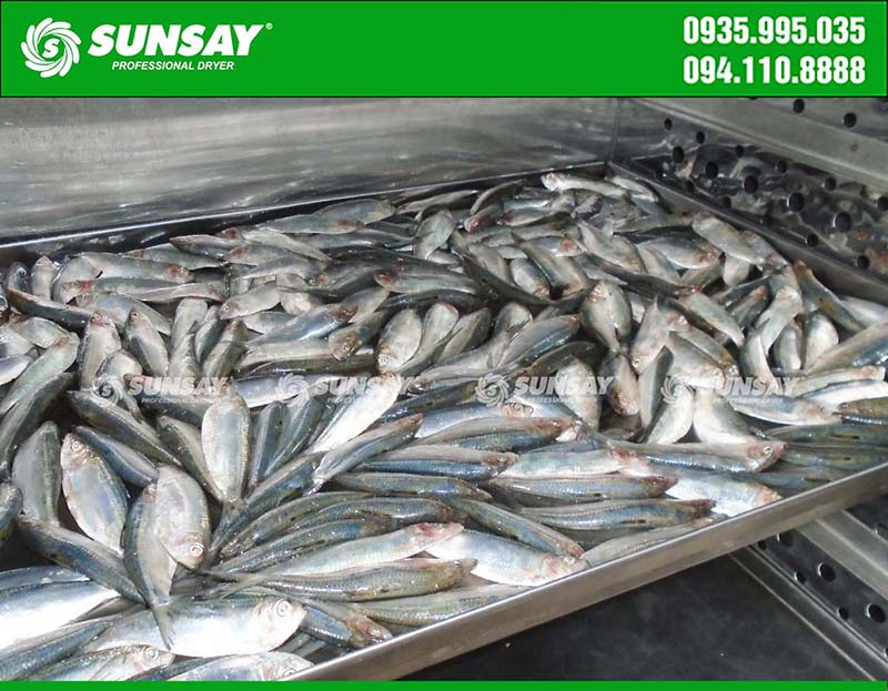 Cá sấy khô bằng máy sấy SUNSAY