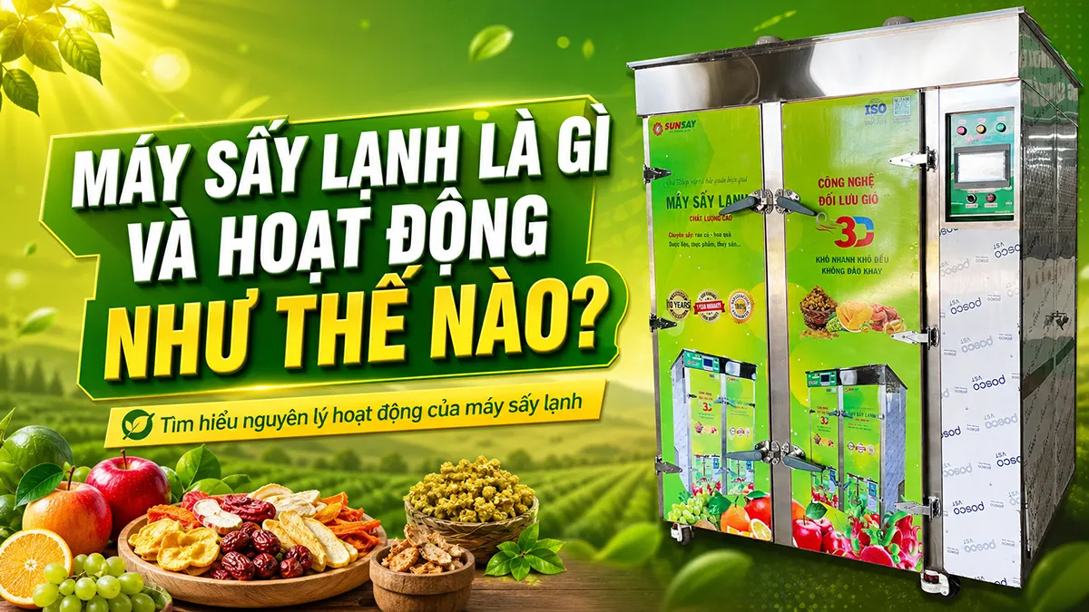 Máy sấy lạnh là gì mà giúp nông sản giữ màu đẹp, không biến dạng sau khi sấy?