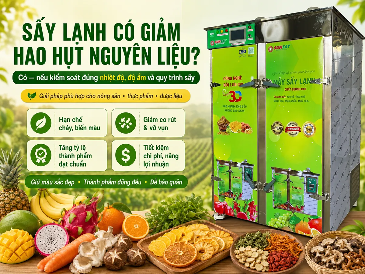 Sấy lạnh có làm giảm hao hụt nguyên liệu không? Công nghệ phù hợp giúp tăng tỷ lệ thành phẩm đạt chuẩn.