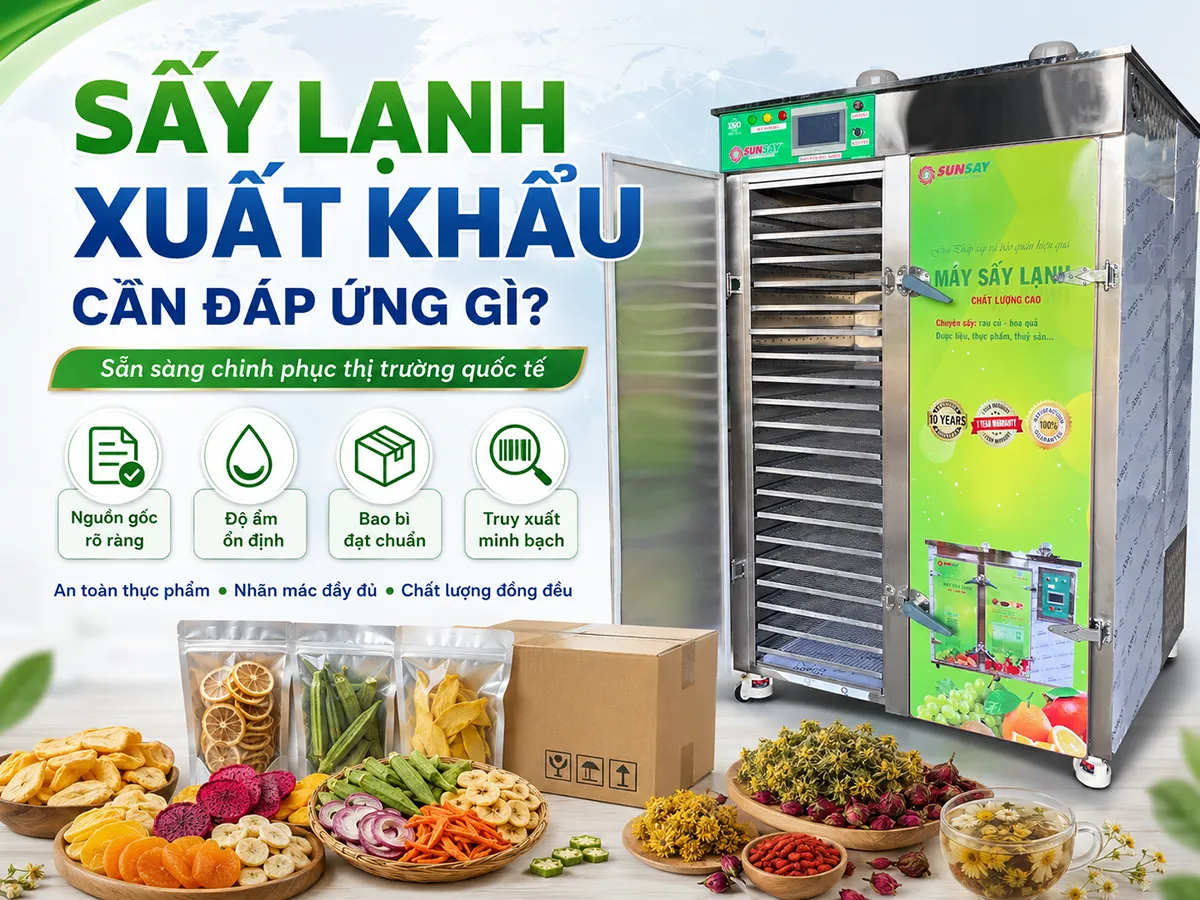 Sản phẩm sấy lạnh xuất khẩu cần đáp ứng gì? Chất lượng ổn định, an toàn thực phẩm và bao bì đạt chuẩn là những yếu tố quan trọng.