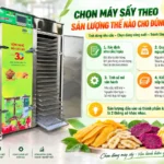 Chọn máy sấy theo sản lượng như thế nào? Bắt đầu từ lượng thành phẩm cần hoàn thành mỗi ngày.