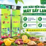 Khi nào nên đầu tư máy sấy? Bắt đầu từ sản phẩm, đầu ra và kế hoạch khai thác thiết bị thực tế.