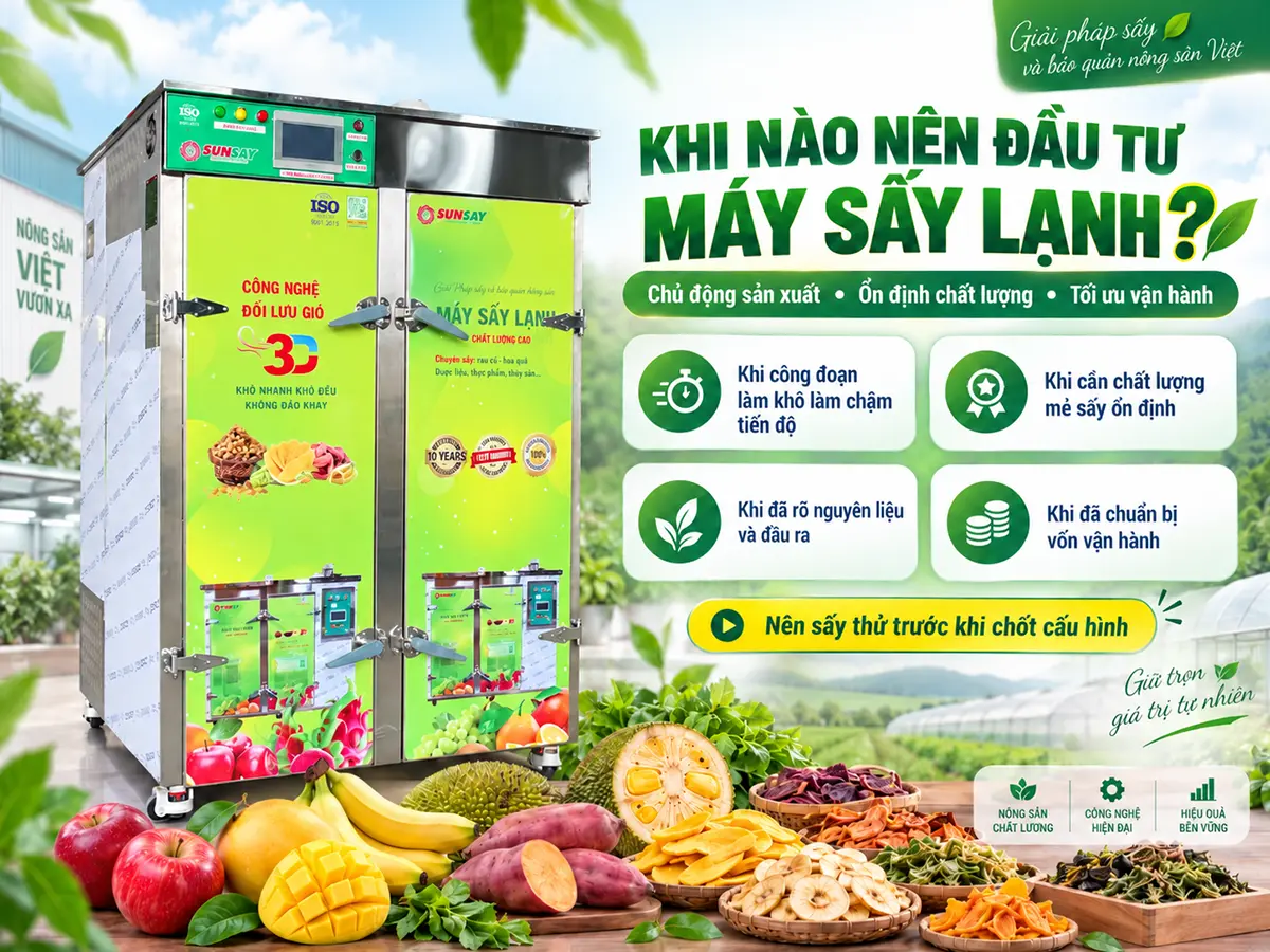 Khi nào nên đầu tư máy sấy? Bắt đầu từ sản phẩm, đầu ra và kế hoạch khai thác thiết bị thực tế.