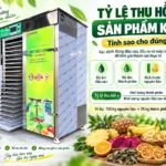 Tỷ lệ thu hồi sản phẩm khô là cơ sở để tính toán sản lượng thành phẩm sau sấy.