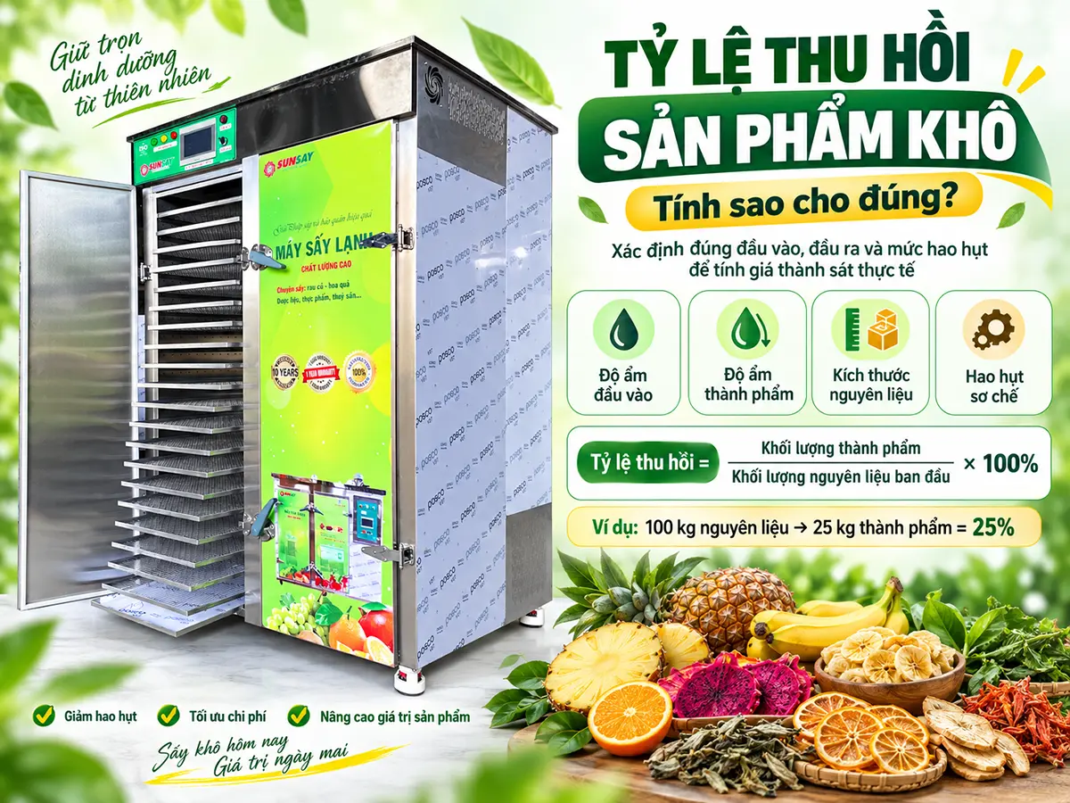 Tỷ lệ thu hồi sản phẩm khô là cơ sở để tính toán sản lượng thành phẩm sau sấy.