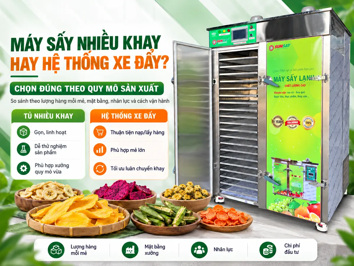 Mua máy sấy nhiều khay hay hệ thống sấy xe đẩy cần dựa trên sản lượng, diện tích nhà xưởng và cách tổ chức vận hành thực tế.